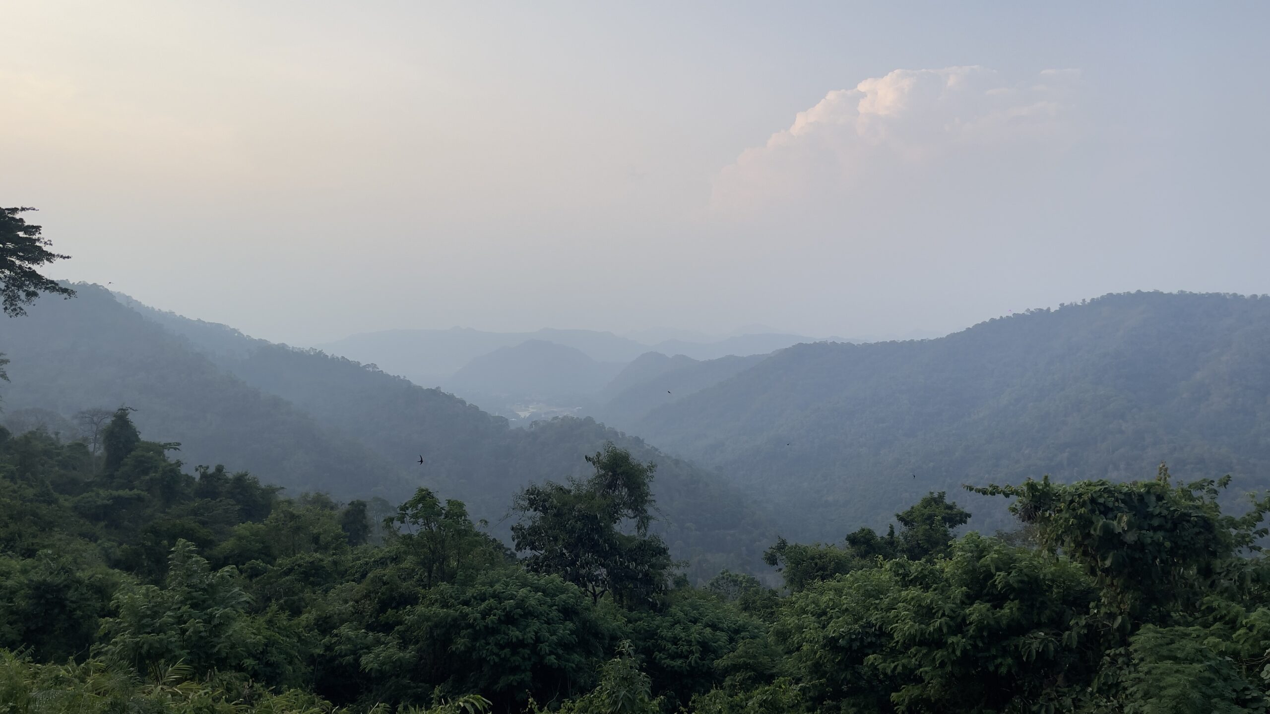 Scenic mountain landscape at Khao Yai, Nakhon Ratchasima, Thailand, featuring lush green forests, misty hills, and a serene natural atmosphere.